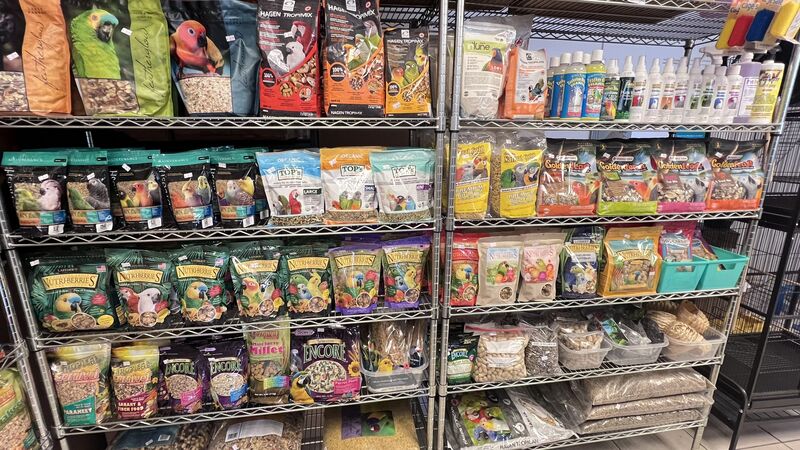 Premium Bird Food at VCM Bird Land